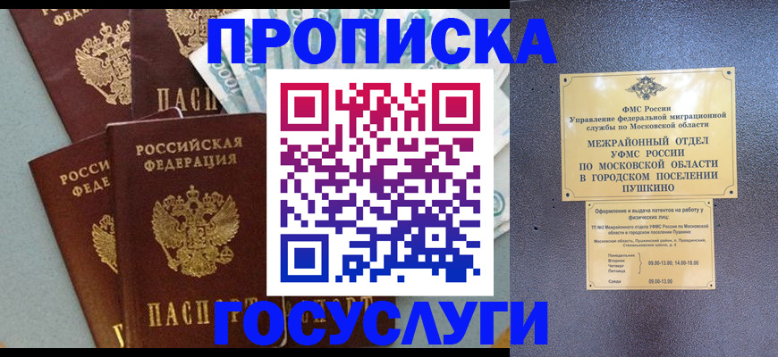 прописка гарантия в Братске